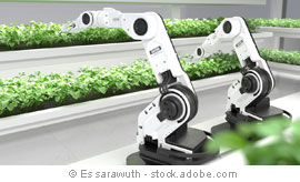 Es sarawuth - stock.adobe.com