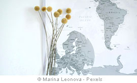 Marina Leonova - Pexels