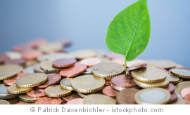 Arbeitnehmerveranlagung 2024