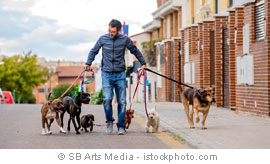 SB Arts Media - istockphoto.com