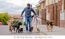 SB Arts Media - istockphoto.com
